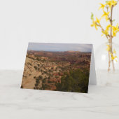 Carte Canyonlands Vue depuis le sentier Neck Springs (Fleur jaune)