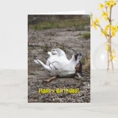 Carte Capo von Oppenheim Jack Russell Terrier, Chien (Fleur jaune)