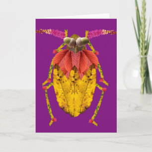 Carte Capricorne