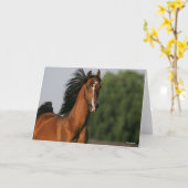 Carte Capsule de la baie Morgan Horse Flower Mane (Fleur jaune)