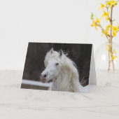 Carte Capture d'écran de Bob Langrish Appaloosa Friesian (Fleur jaune)