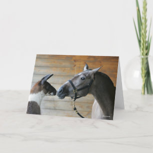 Carte Capture d'écran de Bob Langrish Llama et de la réu