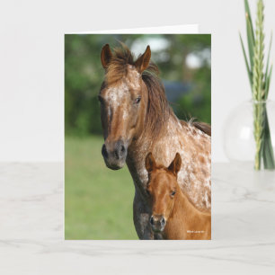 Carte Capture d'écran de l'Appaloosa Horse Mare et Foie