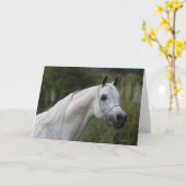 Carte Capture d'écran du cheval arabe 1 (Fleur jaune)