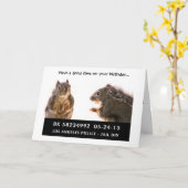 Carte Capture d'écureuil (Fleur jaune)