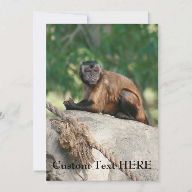 Carte Capuchin Singe Mignonne Mais Cranky (Devant)