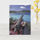 Carte CARAÏBES, St. Barts, Connon visant la baie de (Fleur jaune)