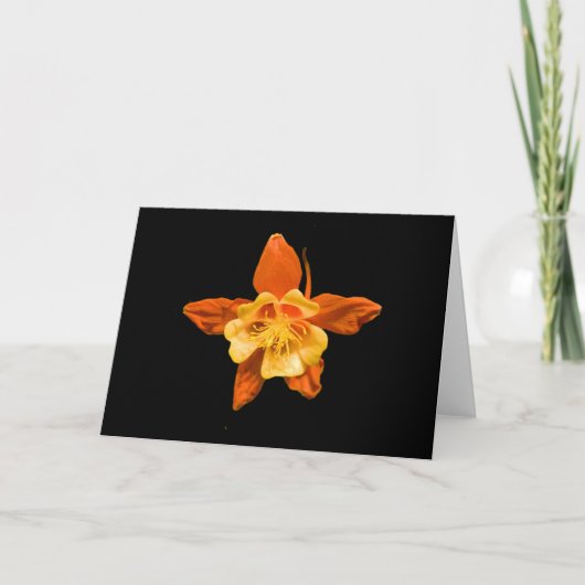 Carte Card, Scarlet and Red Columbine Blossom # 2646 (Devant)