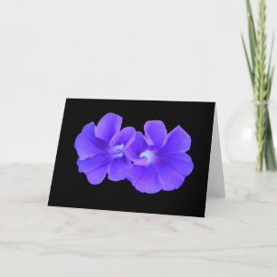 Carte Card, "Two Perfect Purple Morninglories"
