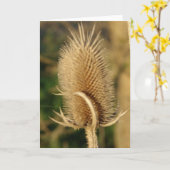 Carte Cardère (Fleur jaune)