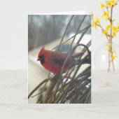 Carte Cardinal (Fleur jaune)