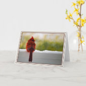 Carte Cardinal (Fleur jaune)