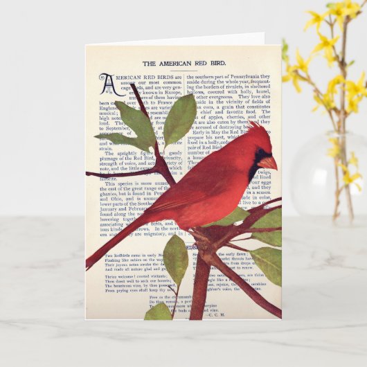 Carte Cardinal (Fleur jaune)