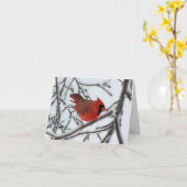 Carte Cardinal (Fleur jaune)