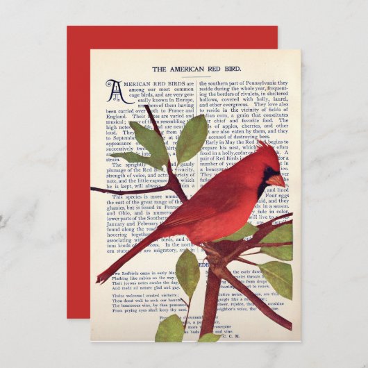 Carte Cardinal (Devant / Derrière)