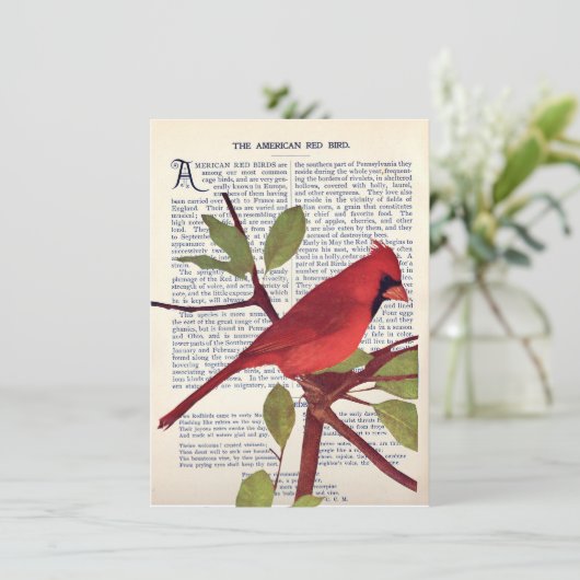 Carte Cardinal (Debout devant)