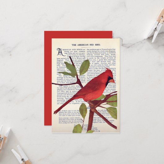 Carte Cardinal (Devant/Arrière en situation)