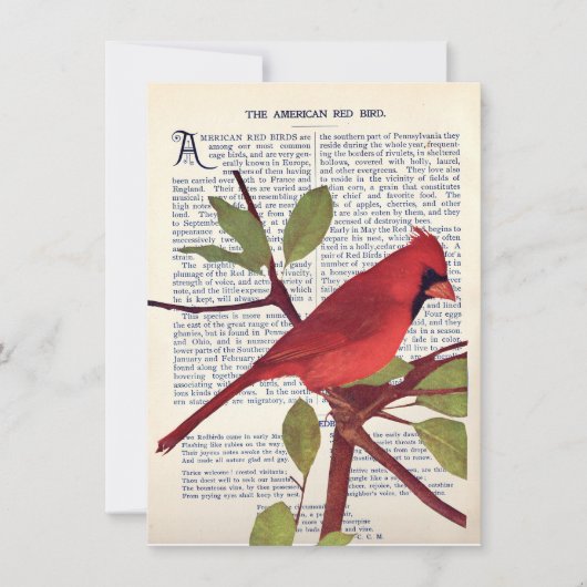 Carte Cardinal (Devant)