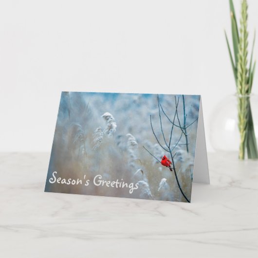 Carte Cardinal Bonnes Fêtes de Noël (Devant)