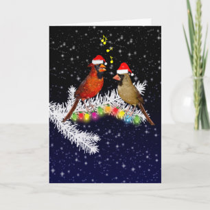 Carte Cardinal Christmas Card (entrez votre propre messa