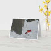 Carte Cardinal dans la neige (Fleur jaune)