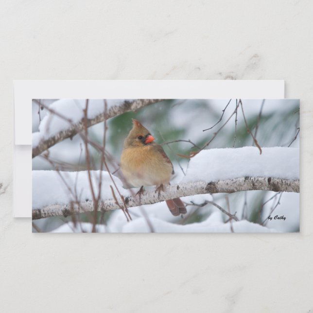 Carte Cardinal dans la tempête de neige (Devant)