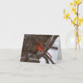 Carte Cardinal de la tempête de neige (Fleur jaune)