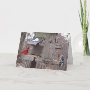 Carte Cardinal de Woodpecker&Male