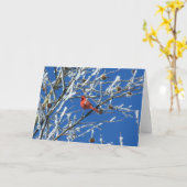 Carte Cardinal d'hiver (Fleur jaune)