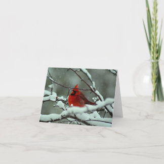 Carte Cardinal d'hiver - Customisé