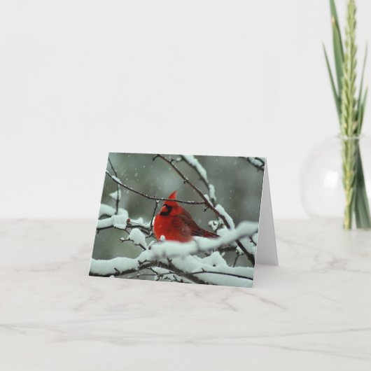 Carte Cardinal d'hiver - Customisé (Devant)