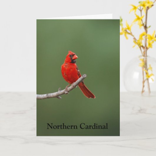 Carte Cardinal du Nord (Fleur jaune)