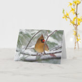 Carte Cardinal du nord féminin dans le pin neigeux, (Fleur jaune)