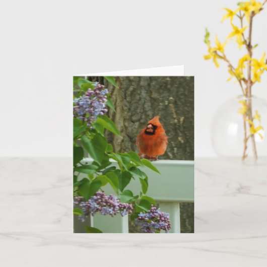 Carte Cardinal et Lilac (Fleur jaune)