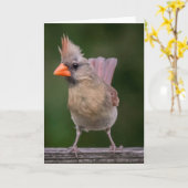 Carte Cardinal Femme (Fleur jaune)