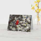 Carte Cardinal Grey Card (Fleur jaune)