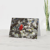 Carte Cardinal Grey Card (Devant)