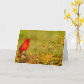 Carte Cardinal mâle sur une bûche (Fleur jaune)