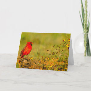 Carte Cardinal mâle sur une bûche