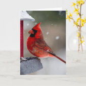 Carte Cardinal masculin à la mangeoire (Fleur jaune)