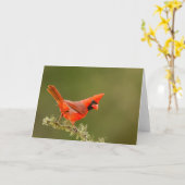 Carte Cardinal masculin sur le membre (Fleur jaune)