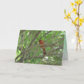 Carte Cardinal mignon sur Branche Penser de vous (Fleur jaune)