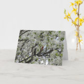 Carte Cardinal parmi les fleurs blanches (Fleur jaune)