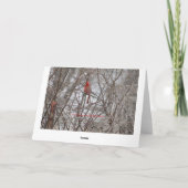 Carte Cardinal Rouge, Anniversaire Qu'Il Brille (Dos)