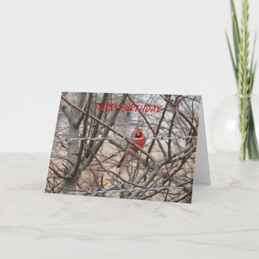 Carte Cardinal Rouge, Anniversaire Qu'Il Brille (Devant)