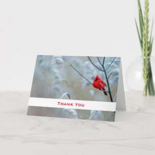 Carte Cardinal Rouge en hiver Nature Photo Merci