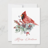 Carte Cardinal Rouge, Eucalyptus, Noël Vert (Devant)