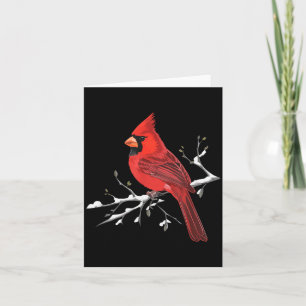 Carte Cardinal Rouge Majestueux Ornithologie Observateur