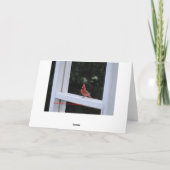 Carte Cardinal Rouge, Vous Manquez (Dos)