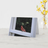 Carte Cardinal Rouge, Vous Manquez (Fleur jaune)